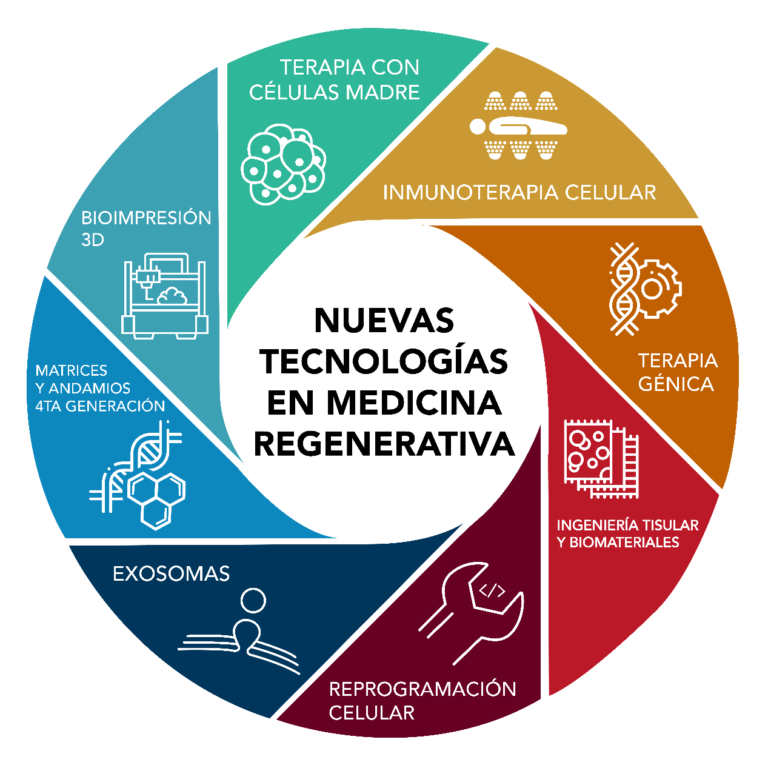 ¿qué Es La Medicina Regenerativa Ingecell 